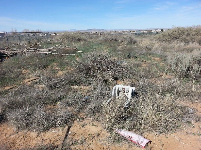 20160315_102912_resized