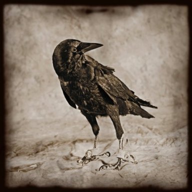 2529_1092189553721_5335063_n