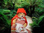 946799_10201125984020489_1345028548_n