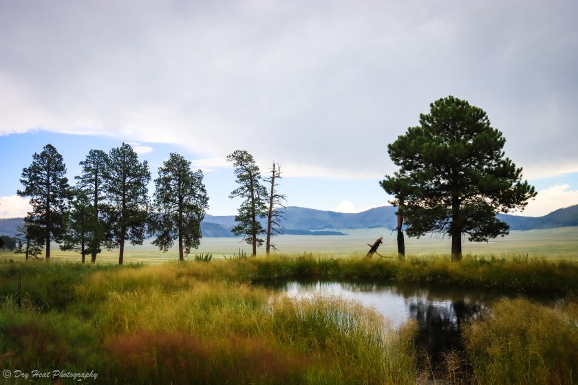 Valles Caldera in the Jemez Mountains of New Mexico.